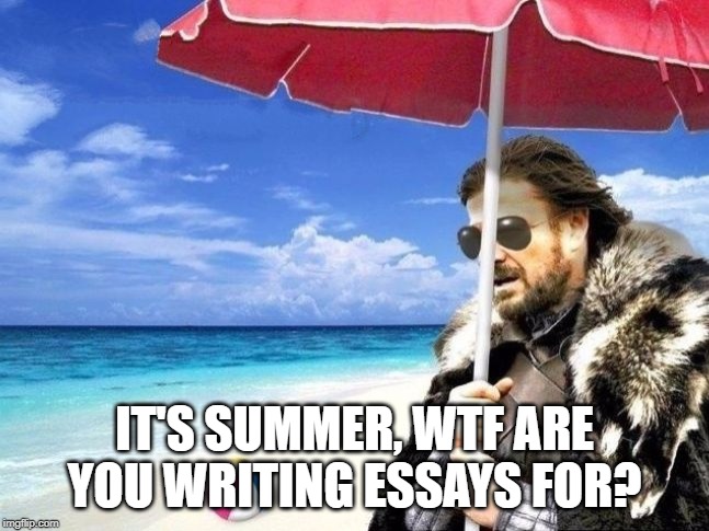 Summer is Coming | IT'S SUMMER, WTF ARE YOU WRITING ESSAYS FOR? | image tagged in summer is coming | made w/ Imgflip meme maker