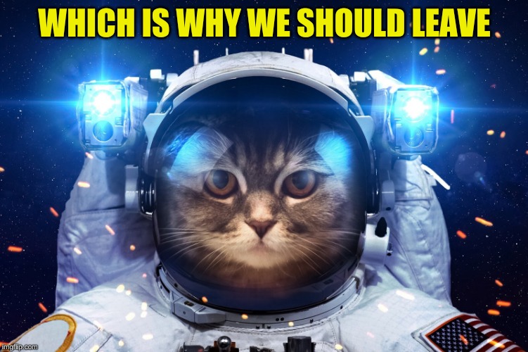 Space Cat 2 | WHICH IS WHY WE SHOULD LEAVE | image tagged in space cat 2 | made w/ Imgflip meme maker