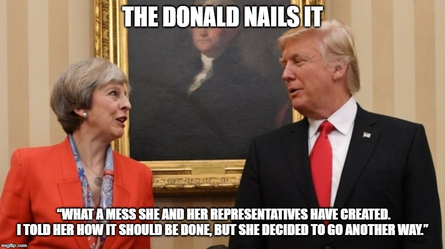 Trump and May | THE DONALD NAILS IT; “WHAT A MESS SHE AND HER REPRESENTATIVES HAVE CREATED. I TOLD HER HOW IT SHOULD BE DONE, BUT SHE DECIDED TO GO ANOTHER WAY.” | image tagged in trump and may | made w/ Imgflip meme maker