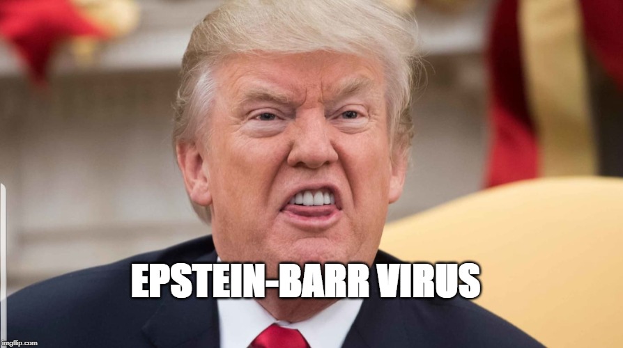 Trump ugly | EPSTEIN-BARR VIRUS | image tagged in trump ugly | made w/ Imgflip meme maker