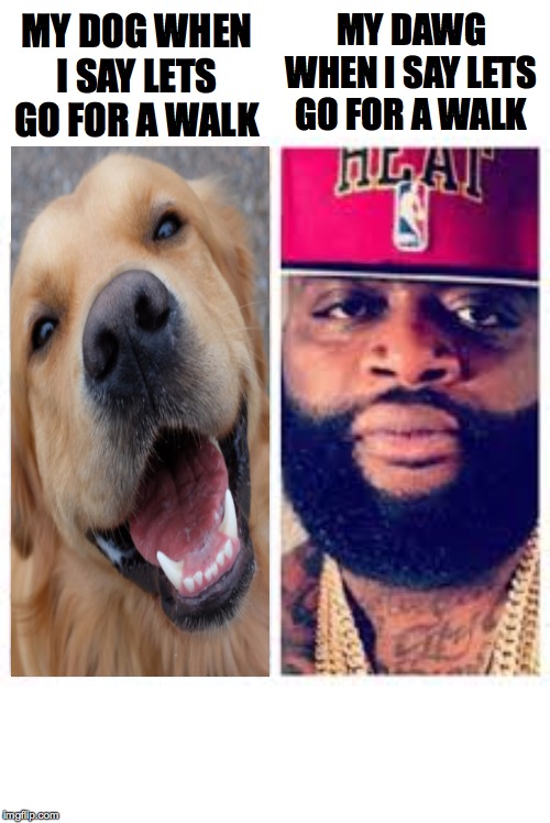 My dog rick ross | MY DAWG WHEN I SAY LETS GO FOR A WALK; MY DOG WHEN I SAY LETS GO FOR A WALK | image tagged in memes,funny | made w/ Imgflip meme maker