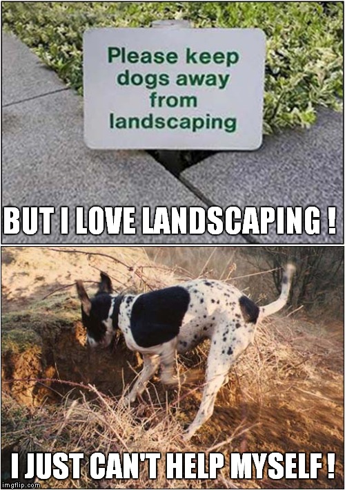Ruined By Dogs | BUT I LOVE LANDSCAPING ! I JUST CAN'T HELP MYSELF ! | image tagged in fun,dogs,landscaping | made w/ Imgflip meme maker