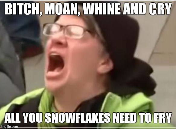 Screaming Liberal | B**CH, MOAN, WHINE AND CRY ALL YOU SNOWFLAKES NEED TO FRY | image tagged in screaming liberal | made w/ Imgflip meme maker
