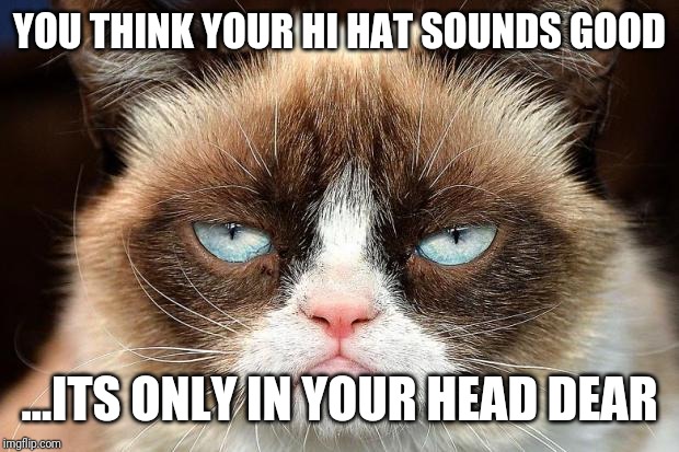 Grumpy Cat Not Amused Meme | YOU THINK YOUR HI HAT SOUNDS GOOD; ...ITS ONLY IN YOUR HEAD DEAR | image tagged in memes,grumpy cat not amused,grumpy cat | made w/ Imgflip meme maker