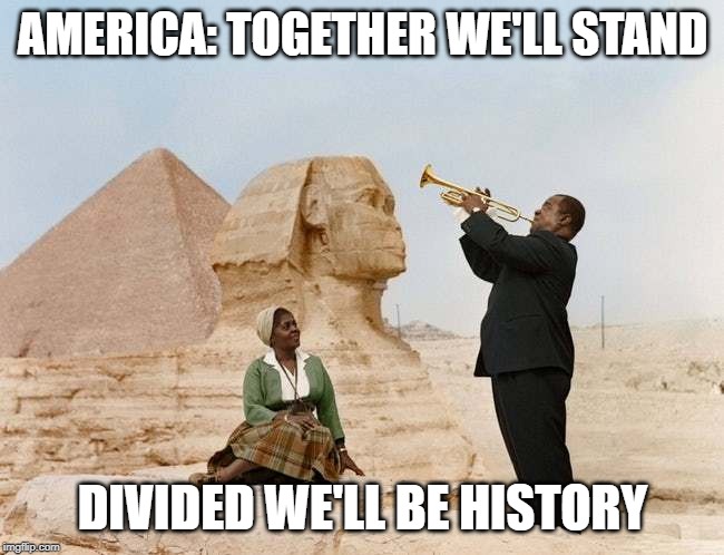 Together We Stand | AMERICA: TOGETHER WE'LL STAND; DIVIDED WE'LL BE HISTORY | image tagged in together we stand | made w/ Imgflip meme maker