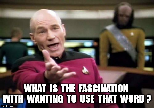 Picard Wtf Meme | WHAT  IS  THE  FASCINATION  WITH  WANTING  TO  USE  THAT  WORD ? | image tagged in memes,picard wtf | made w/ Imgflip meme maker