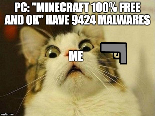Scared Cat Meme | PC: "MINECRAFT 100% FREE AND OK" HAVE 9424 MALWARES; ME | image tagged in memes,scared cat | made w/ Imgflip meme maker