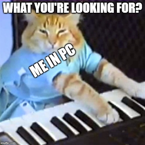 Keyboard cat | WHAT YOU'RE LOOKING FOR? ME IN PC | image tagged in keyboard cat | made w/ Imgflip meme maker