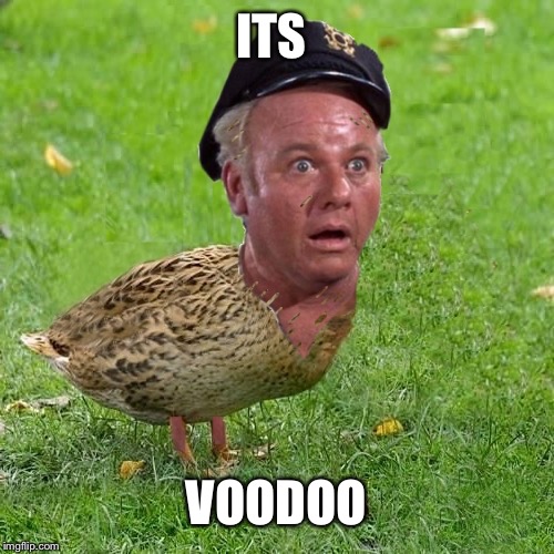 Skipper Duck | ITS; VOODOO | image tagged in skipper duck | made w/ Imgflip meme maker