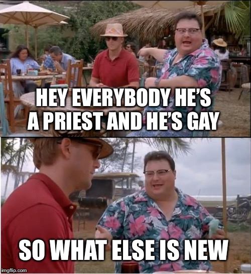 See Nobody Cares Meme | HEY EVERYBODY HE’S A PRIEST AND HE’S GAY; SO WHAT ELSE IS NEW | image tagged in memes,see nobody cares | made w/ Imgflip meme maker