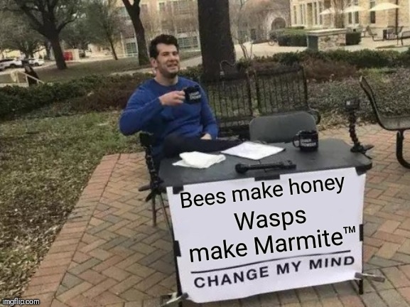 Bees make honey | Bees make honey; Wasps make Marmite™ | image tagged in memes,change my mind,funny,bees,wasp | made w/ Imgflip meme maker