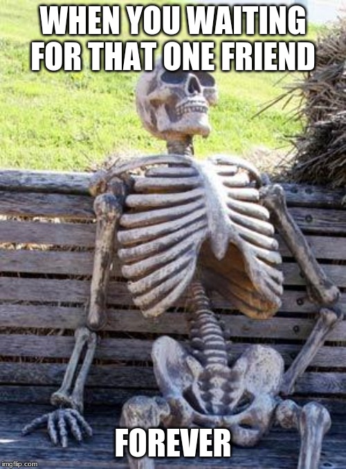 Waiting Skeleton Meme | WHEN YOU WAITING FOR THAT ONE FRIEND; FOREVER | image tagged in memes,waiting skeleton | made w/ Imgflip meme maker