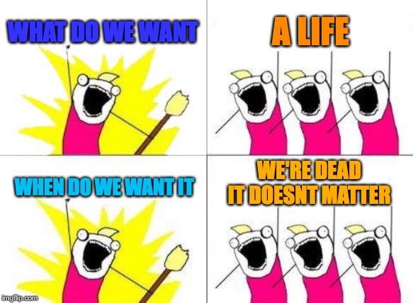 What Do We Want Meme | WHAT DO WE WANT; A LIFE; WE'RE DEAD IT DOESNT MATTER; WHEN DO WE WANT IT | image tagged in memes,what do we want | made w/ Imgflip meme maker