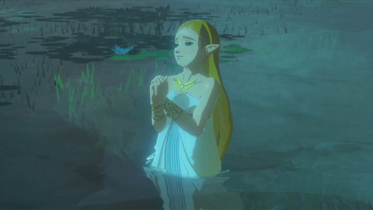 Zelda bathwater Blank Meme Template