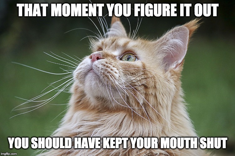 The moment you figure it out | THAT MOMENT YOU FIGURE IT OUT; YOU SHOULD HAVE KEPT YOUR MOUTH SHUT | image tagged in distracted | made w/ Imgflip meme maker