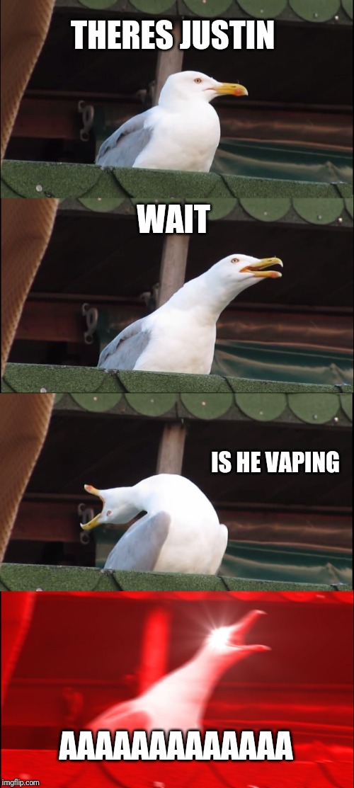 Inhaling Seagull Meme | THERES JUSTIN; WAIT; IS HE VAPING; AAAAAAAAAAAAA | image tagged in memes,inhaling seagull | made w/ Imgflip meme maker