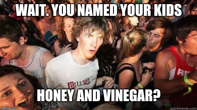 Sudden Realization | WAIT. YOU NAMED YOUR KIDS HONEY AND VINEGAR? | image tagged in sudden realization | made w/ Imgflip meme maker