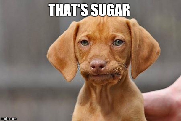 Dissapointed puppy | THAT'S SUGAR | image tagged in dissapointed puppy | made w/ Imgflip meme maker