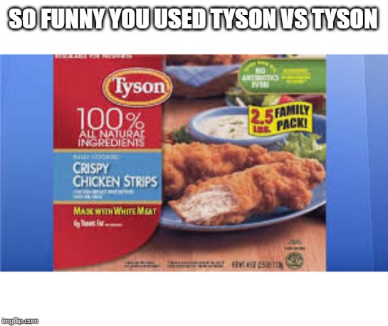 SO FUNNY YOU USED TYSON VS TYSON | made w/ Imgflip meme maker
