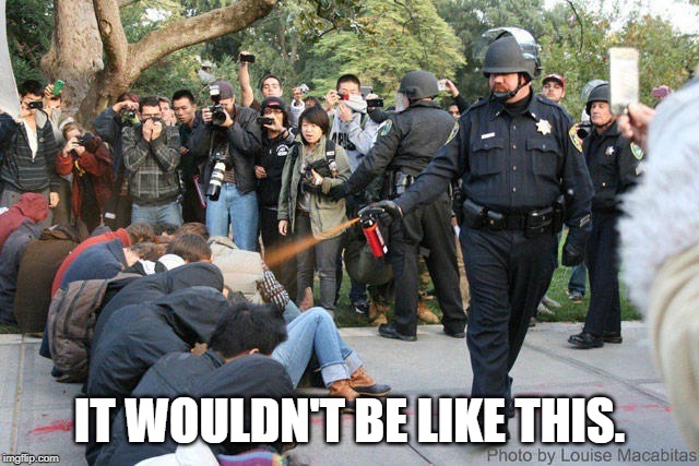 Pepper spray cop | IT WOULDN'T BE LIKE THIS. | image tagged in pepper spray cop | made w/ Imgflip meme maker