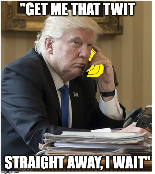 inept /ɪˈnɛpt/ adjective; having or showing no skill; clumsy. |  "GET ME THAT TWIT; STRAIGHT AWAY, I WAIT" | image tagged in donald trump,memes,politics,phone bone,uk ambassador | made w/ Imgflip meme maker
