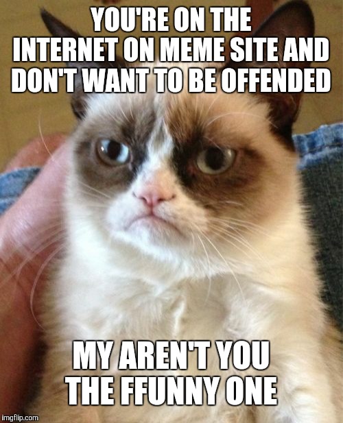 Grumpy Cat Meme | YOU'RE ON THE INTERNET ON MEME SITE AND DON'T WANT TO BE OFFENDED; MY AREN'T YOU THE FFUNNY ONE | image tagged in memes,grumpy cat | made w/ Imgflip meme maker