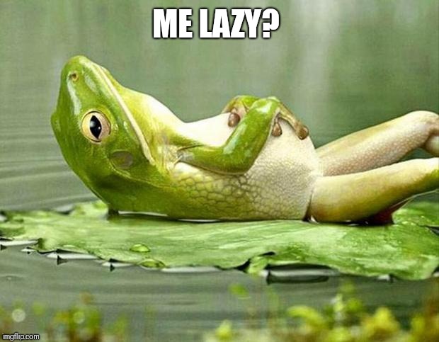 Lazy frog | ME LAZY? | image tagged in lazy frog | made w/ Imgflip meme maker