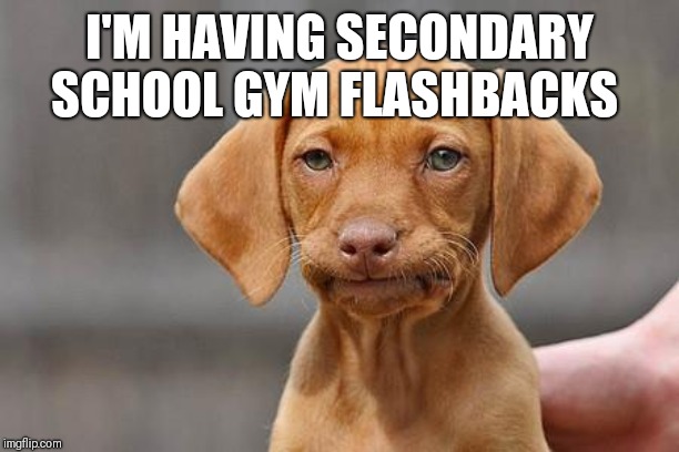 Dissapointed puppy | I'M HAVING SECONDARY SCHOOL GYM FLASHBACKS | image tagged in dissapointed puppy | made w/ Imgflip meme maker