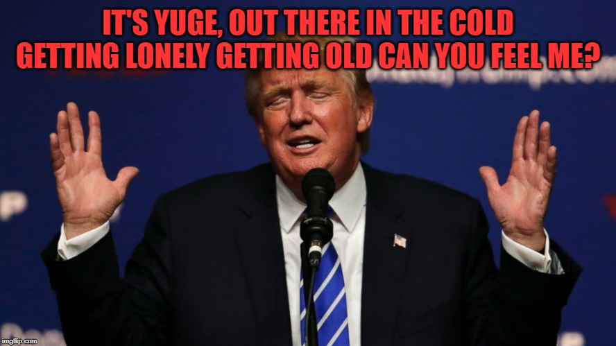 Trump Yuge! | IT'S YUGE, OUT THERE IN THE COLD GETTING LONELY GETTING OLD CAN YOU FEEL ME? | image tagged in trump yuge | made w/ Imgflip meme maker