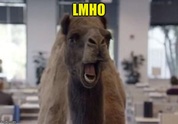 Hump Day Camel | LMHO | image tagged in hump day camel | made w/ Imgflip meme maker
