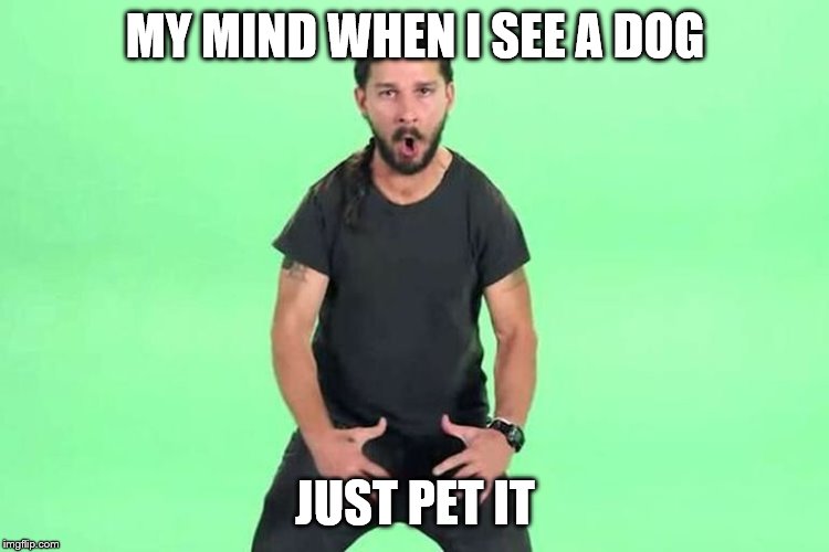 Just do it | MY MIND WHEN I SEE A DOG; JUST PET IT | image tagged in just do it | made w/ Imgflip meme maker