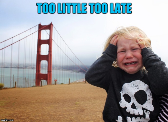 Existential crisis kid | TOO LITTLE TOO LATE | image tagged in existential crisis kid | made w/ Imgflip meme maker