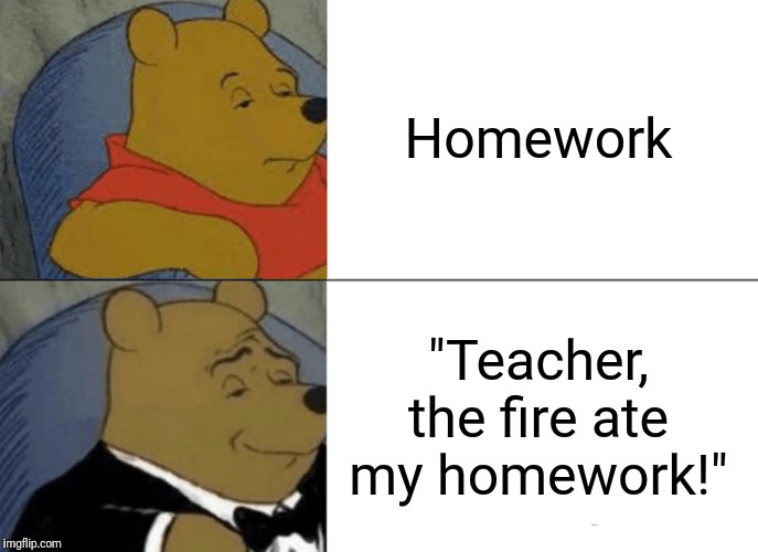 Tuxedo Winnie The Pooh Meme | Homework "Teacher, the fire ate my homework!" | image tagged in memes,tuxedo winnie the pooh | made w/ Imgflip meme maker