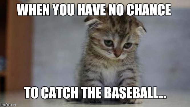Sad kitten | WHEN YOU HAVE NO CHANCE TO CATCH THE BASEBALL... | image tagged in sad kitten | made w/ Imgflip meme maker