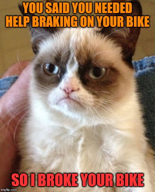 Oh, So This is How I Brake On My Bike! | YOU SAID YOU NEEDED HELP BRAKING ON YOUR BIKE; SO I BROKE YOUR BIKE | image tagged in memes,grumpy cat | made w/ Imgflip meme maker