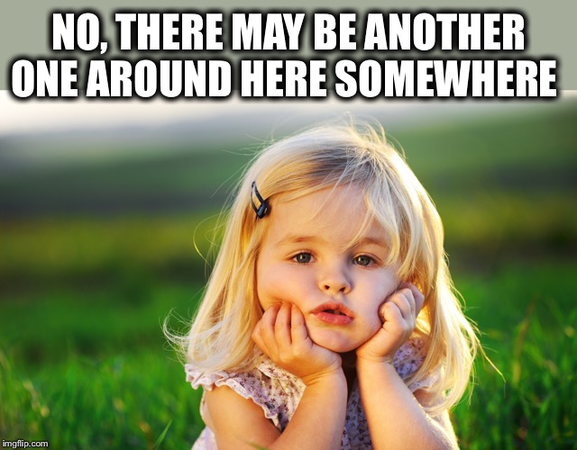 NO, THERE MAY BE ANOTHER ONE AROUND HERE SOMEWHERE | made w/ Imgflip meme maker