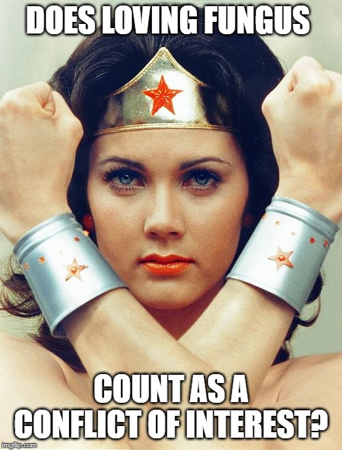wonder woman | DOES LOVING FUNGUS; COUNT AS A CONFLICT OF INTEREST? | image tagged in wonder woman | made w/ Imgflip meme maker