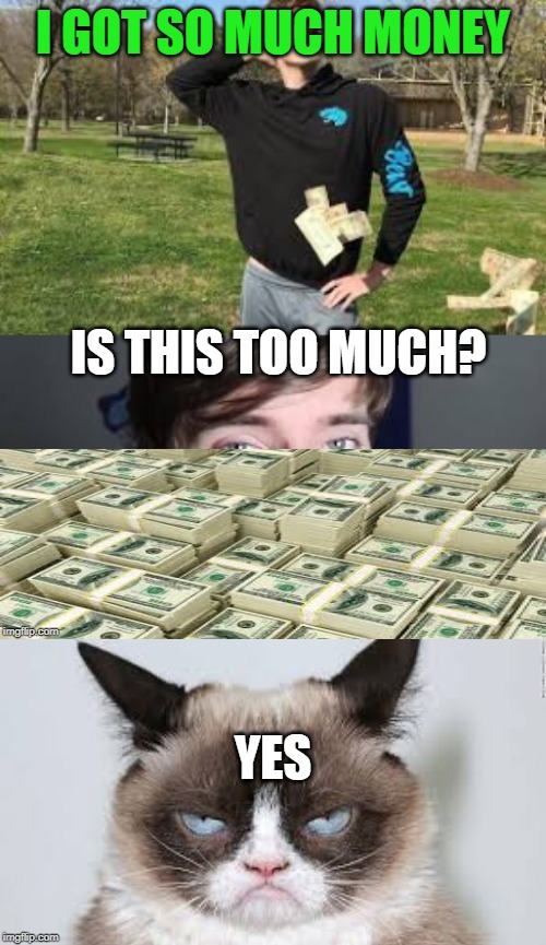 i got so much money | YES | image tagged in mrbeast,grumpy cat,money | made w/ Imgflip meme maker