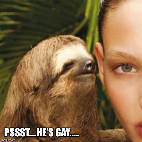 Whisper Sloth Meme | PSSST....HE’S GAY..... | image tagged in memes,whisper sloth | made w/ Imgflip meme maker