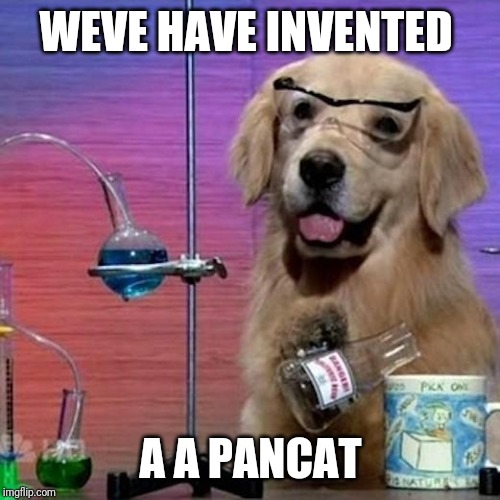 I Have No Idea What I Am Doing Dog Meme | WEVE HAVE INVENTED A A PANCAT | image tagged in memes,i have no idea what i am doing dog | made w/ Imgflip meme maker
