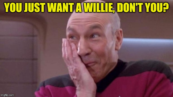 PICARD OOPS | YOU JUST WANT A WILLIE, DON'T YOU? | image tagged in picard oops | made w/ Imgflip meme maker