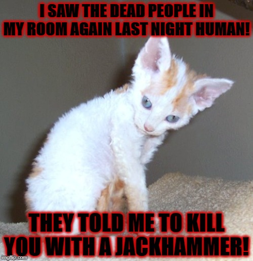 DEAD PEOPLE | I SAW THE DEAD PEOPLE IN MY ROOM AGAIN LAST NIGHT HUMAN! THEY TOLD ME TO KILL YOU WITH A JACKHAMMER! | image tagged in dead people | made w/ Imgflip meme maker
