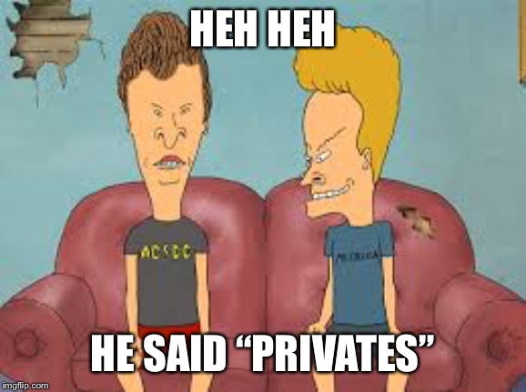 Bevis n Butthead | HEH HEH HE SAID “PRIVATES” | image tagged in bevis n butthead | made w/ Imgflip meme maker
