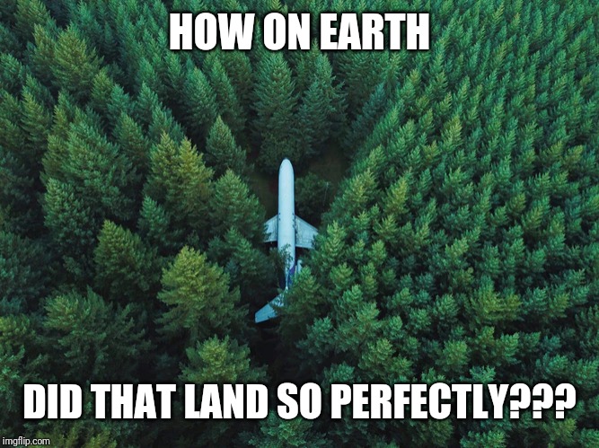 HOW ON EARTH; DID THAT LAND SO PERFECTLY??? | image tagged in memes,funny,random,airplane,plane,trees | made w/ Imgflip meme maker