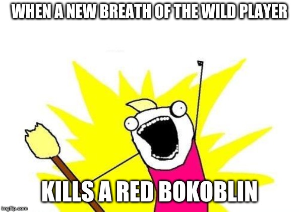 X All The Y | WHEN A NEW BREATH OF THE WILD PLAYER; KILLS A RED BOKOBLIN | image tagged in memes,x all the y | made w/ Imgflip meme maker