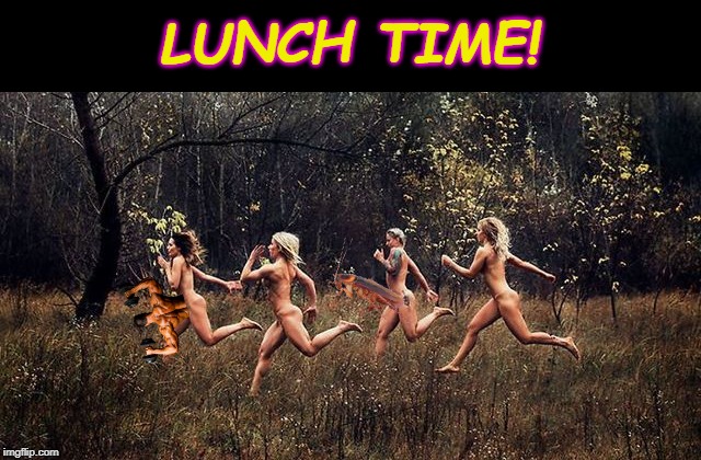 lunch time | LUNCH TIME! | image tagged in lunch time | made w/ Imgflip meme maker