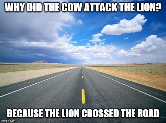 Sad live for Lions | WHY DID THE COW ATTACK THE LION? BECAUSE THE LION CROSSED THE ROAD | image tagged in funny memes,memes,lions,animals,evil cows,sad | made w/ Imgflip meme maker