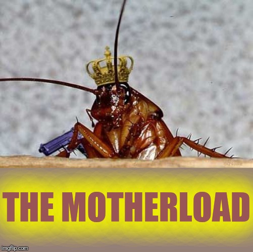 Cockroach King | THE MOTHERLOAD | image tagged in cockroach king | made w/ Imgflip meme maker