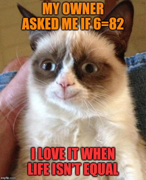 Life Isn't Equal | MY OWNER ASKED ME IF 6=82; I LOVE IT WHEN LIFE ISN'T EQUAL | image tagged in memes,grumpy cat happy,grumpy cat | made w/ Imgflip meme maker