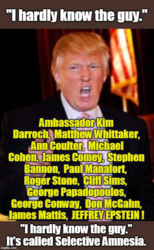 Like a Mafioso on the witness stand. | "I hardly know the guy."; Ambassador Kim Darroch,  Matthew Whittaker,  Ann Coulter,  Michael Cohen,  James Comey,  Stephen Bannon,  Paul Manafort,  Roger Stone,  Cliff Sims, 
 George Papadopoulos,  George Conway,  Don McGahn,  James Mattis,  JEFFREY EPSTEIN ! "I hardly know the guy." It's called Selective Amnesia. | image tagged in donald trump,amnesia,ann coulter,fbi director james comey,steve bannon,paul manafort | made w/ Imgflip meme maker